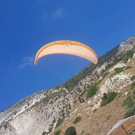 Bluetel 里科索翁