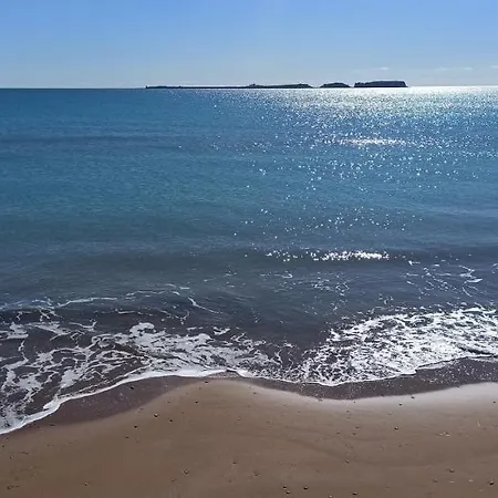 Bluetel * 里科索翁