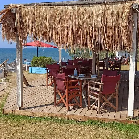 Bluetel 里科索翁